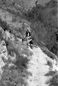 Penny and James take Dougal for a walk on Table Mountain