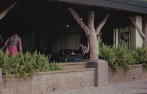 Coffee in the Kruger National Park