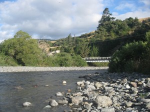 Pohangina River